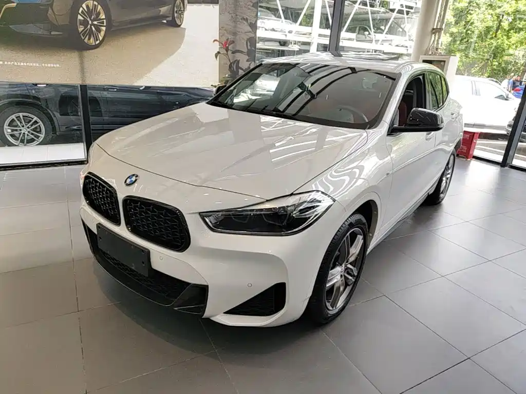 BMW X2 — миниатюра 2