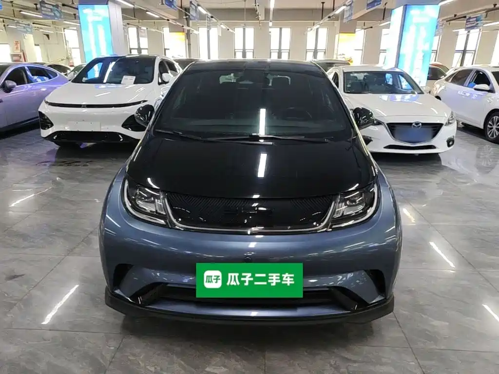 BYD Dolphin — миниатюра 3