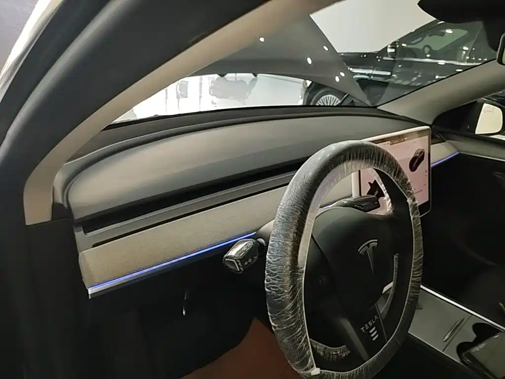 Tesla Model Y — миниатюра 10