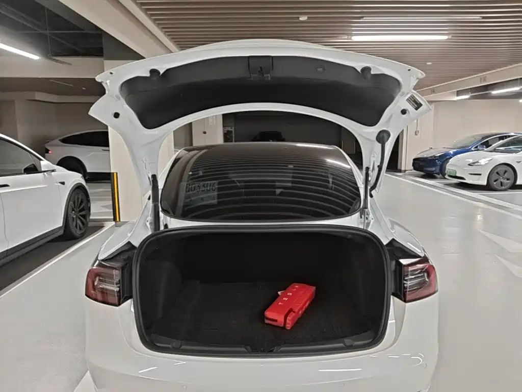 Tesla Model 3 — миниатюра 19
