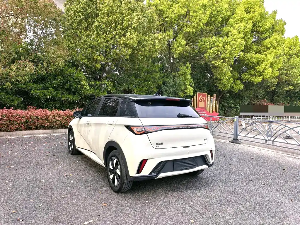 BYD Dolphin - фото 9