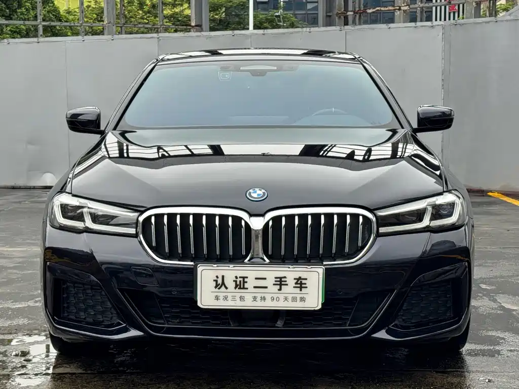 BMW 5 Series New Energy — миниатюра 2