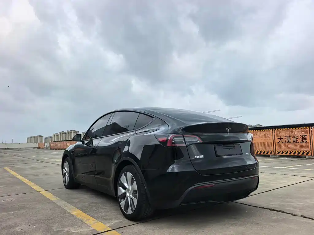 Tesla Model Y — миниатюра 8