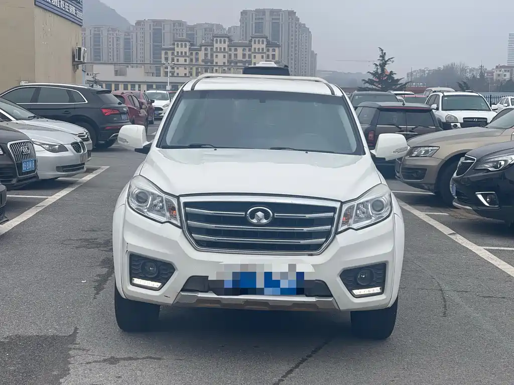 GREAT WALL FENGJUN 6