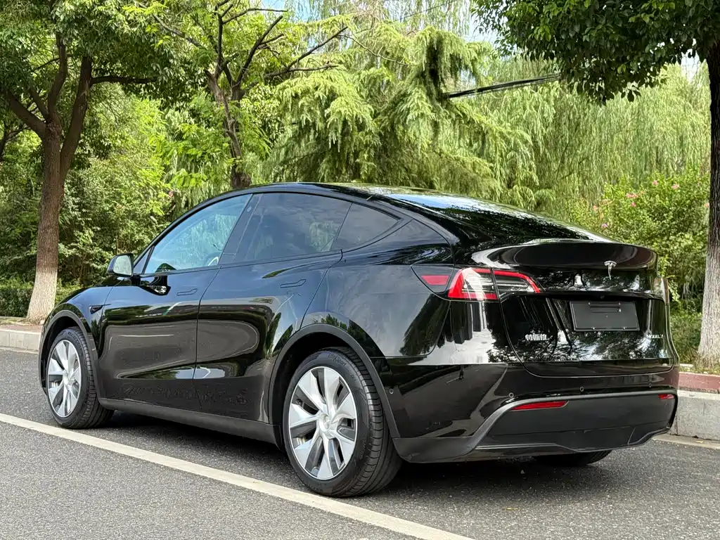Tesla Model Y — миниатюра 3