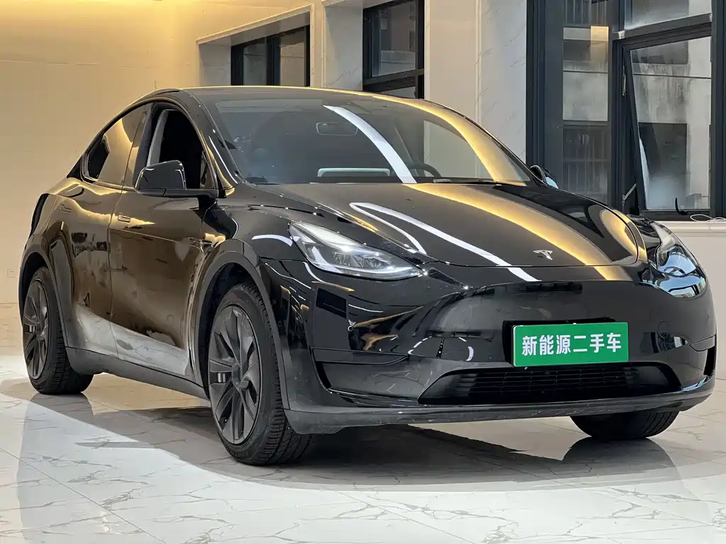 Tesla Model Y — миниатюра 4