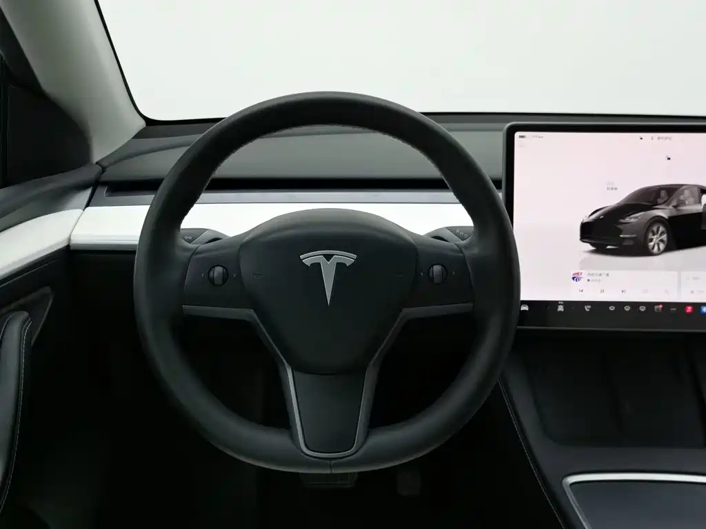Tesla Model Y — миниатюра 11