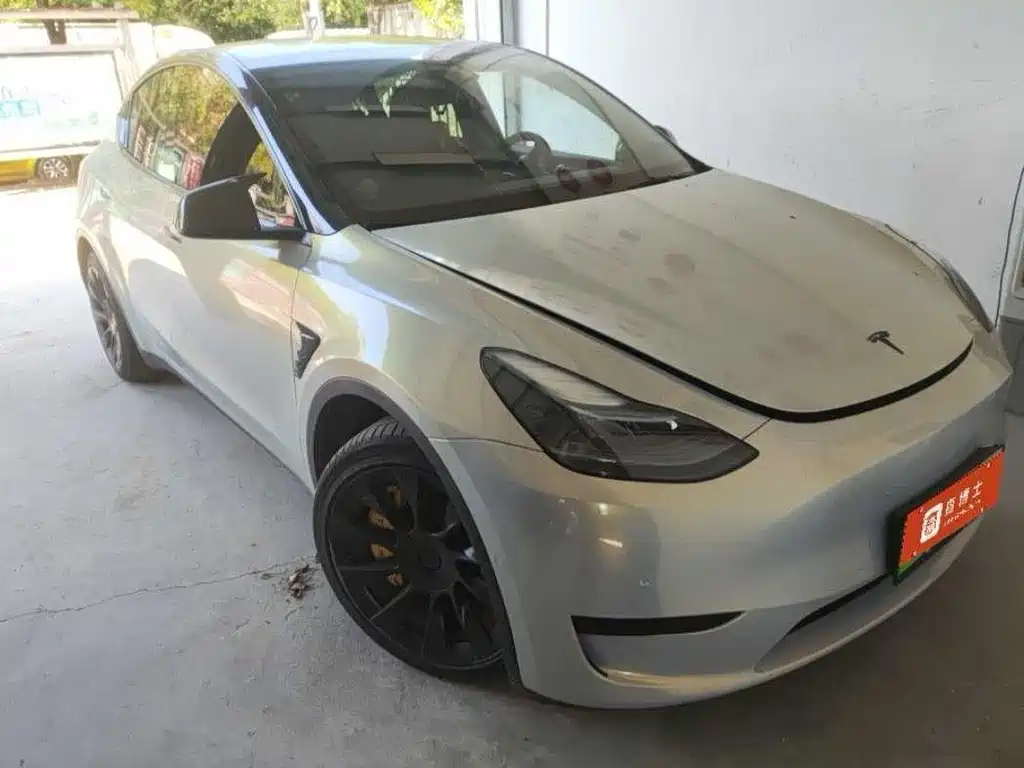 Tesla Model Y — миниатюра 2