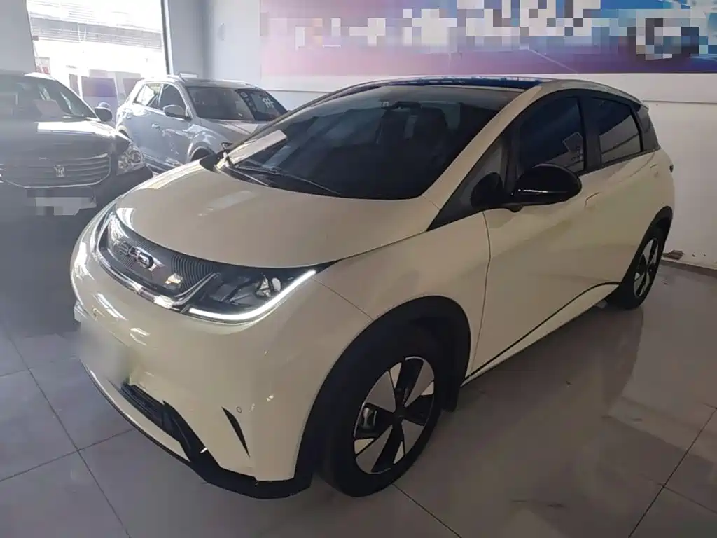 BYD Dolphin — миниатюра 2