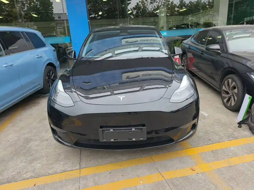 Tesla Model Y — миниатюра 3