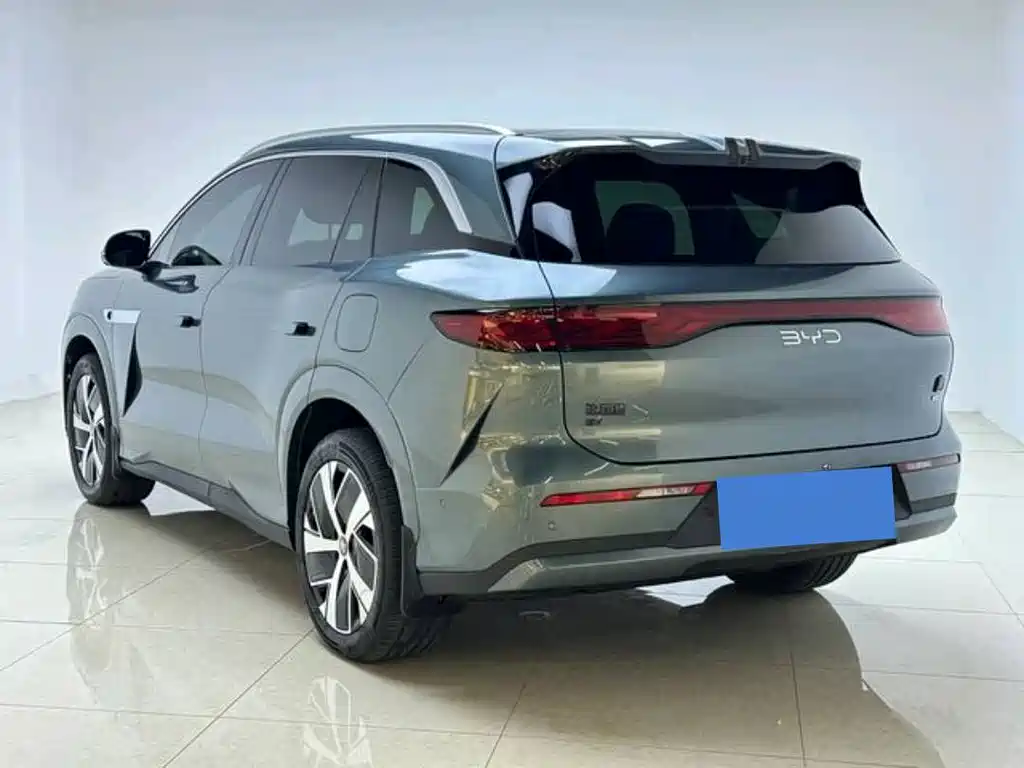 BYD Дон Л. — миниатюра 5