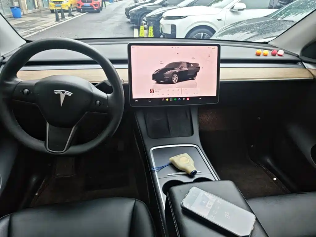 Tesla Model Y — миниатюра 10