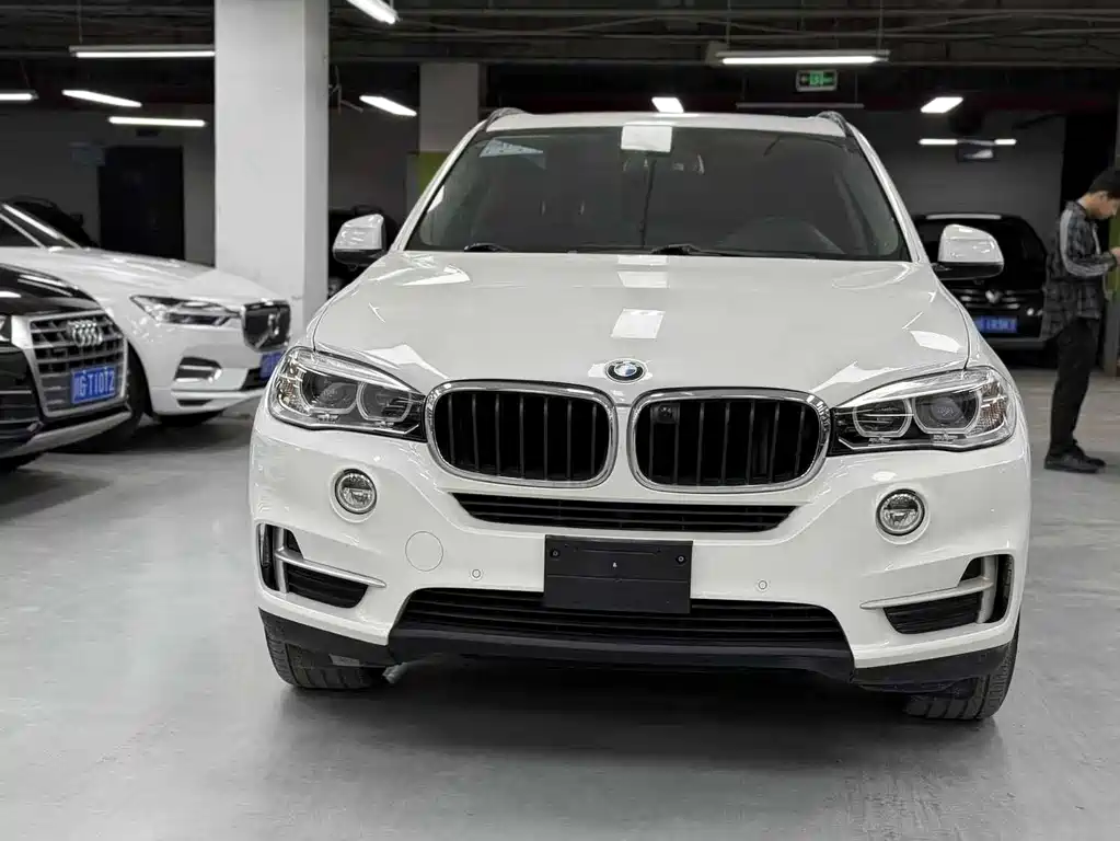 BMW X5 2014 xDrive35i Luxury