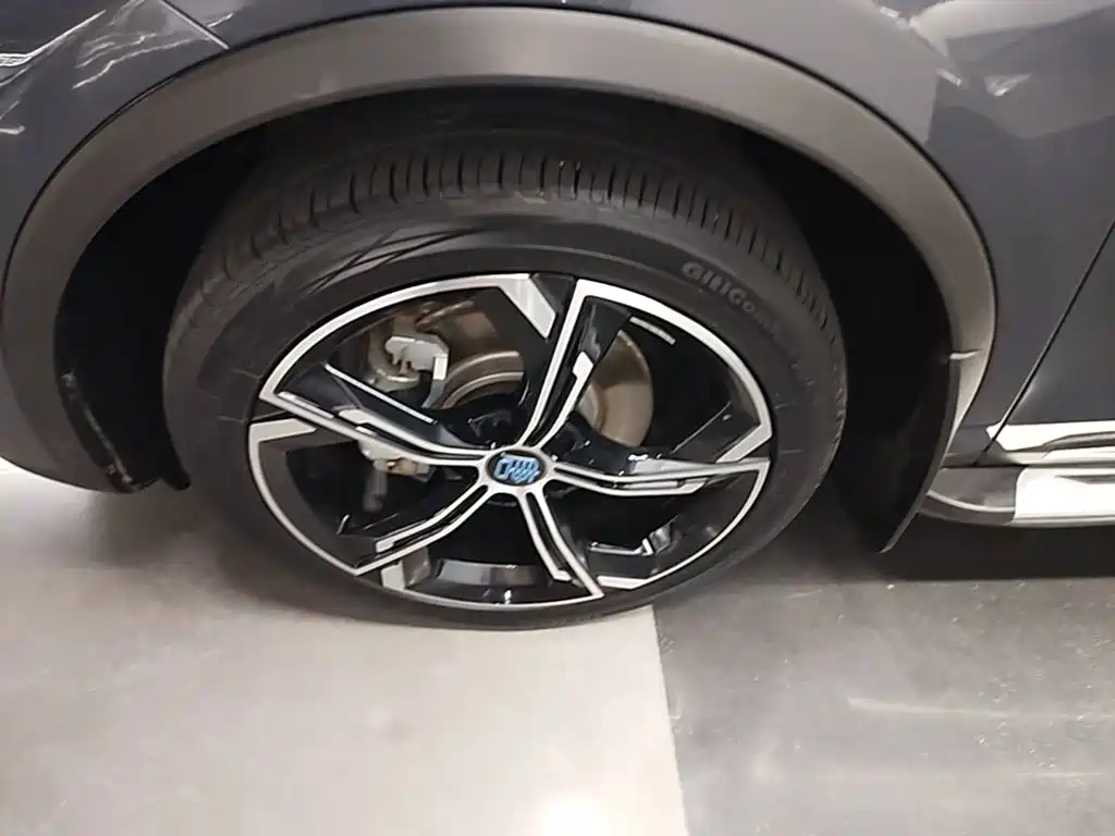 BYD Tang New Energy — миниатюра 25