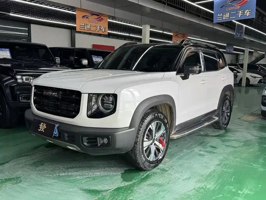 HAVAL BIG DOG