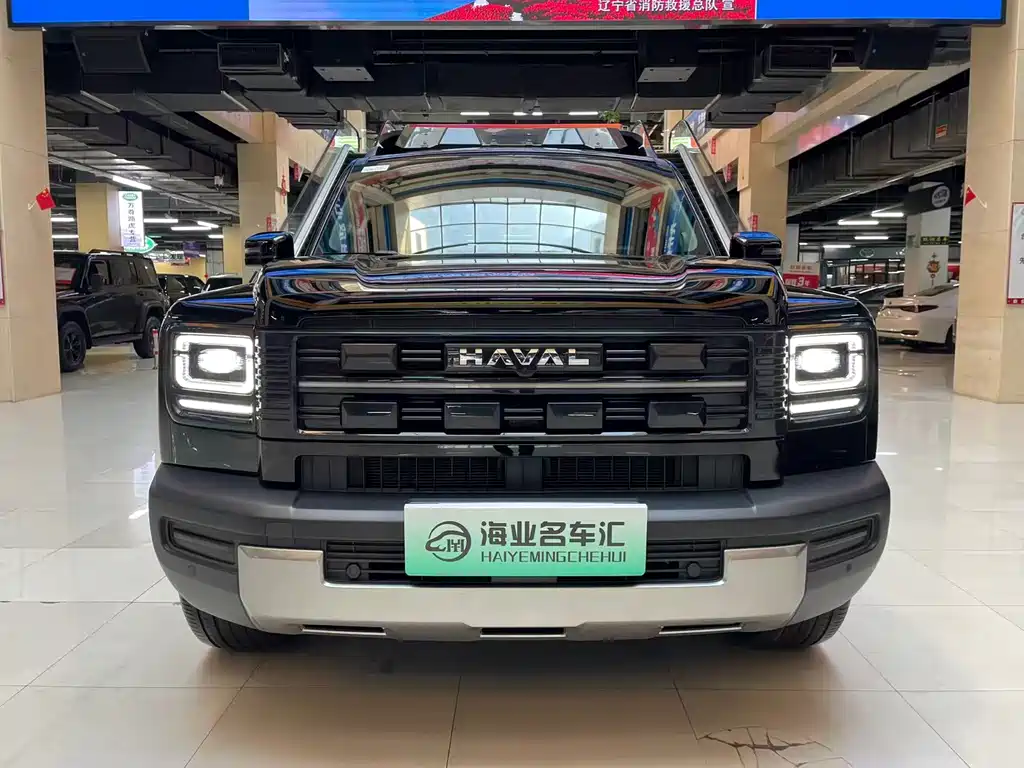 Haval Menglong New Energy — миниатюра 2