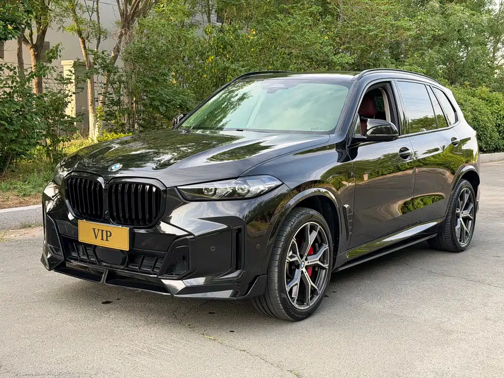 BMW X5 2024