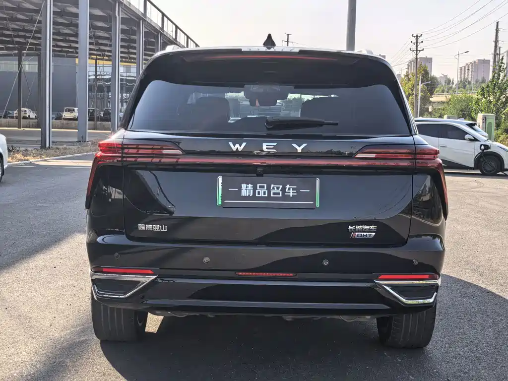 Wey Wey Lanshan — миниатюра 12