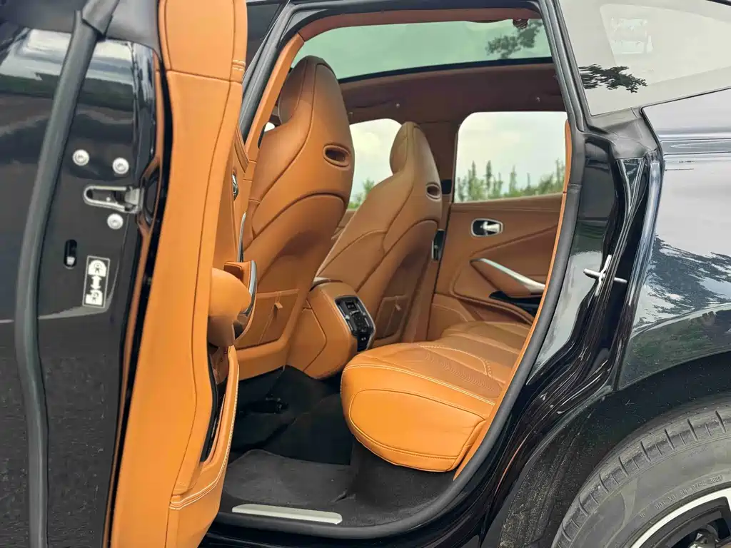Aston Martin DBX — миниатюра 13