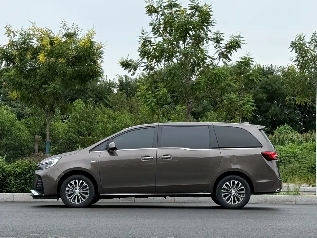 Buick GL8 — миниатюра 3