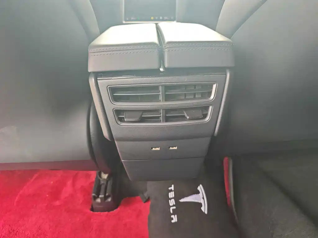 Tesla Model X — миниатюра 5