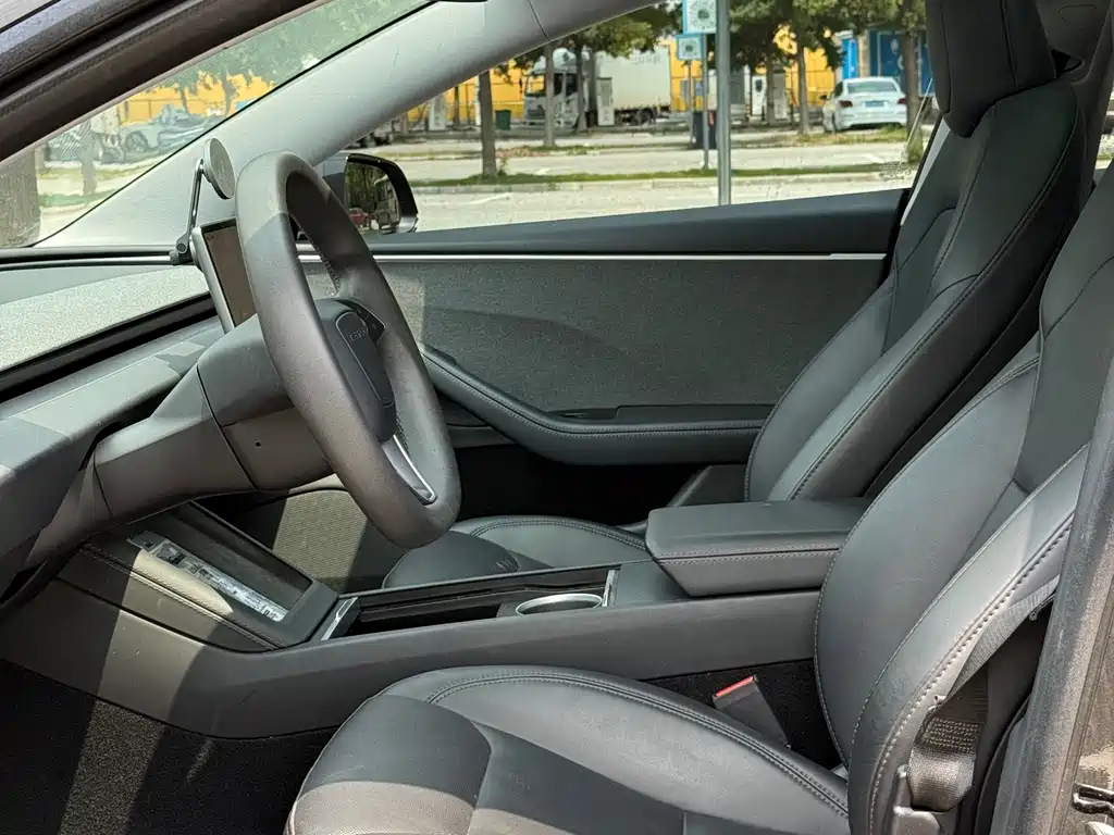 Tesla Model 3 — миниатюра 5