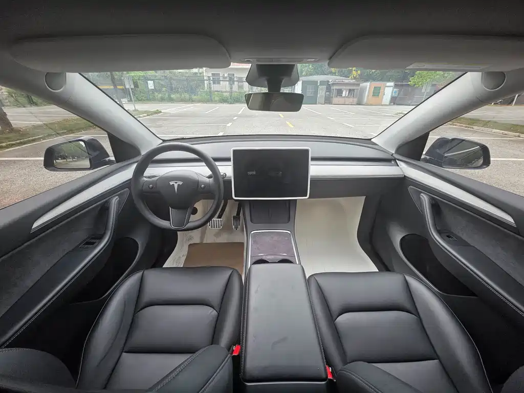 Tesla Model Y — миниатюра 10