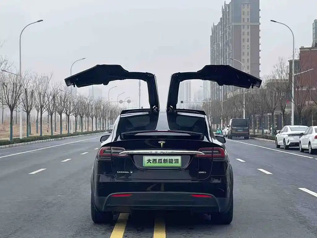 TESLA MODEL X