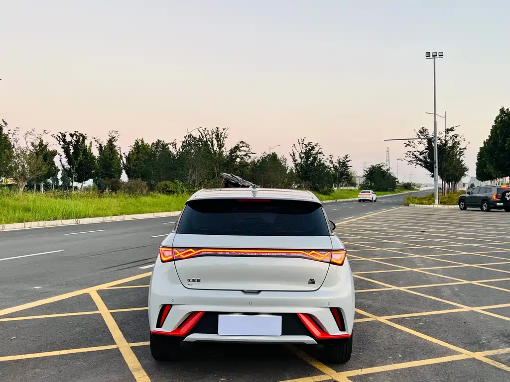 BYD Dolphin — миниатюра 8
