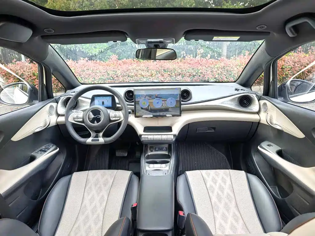 BYD Dolphin - фото 3