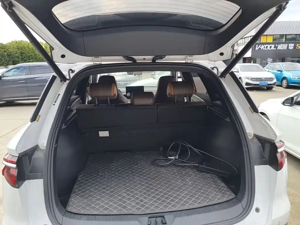 BYD Pro New Energy — миниатюра 19