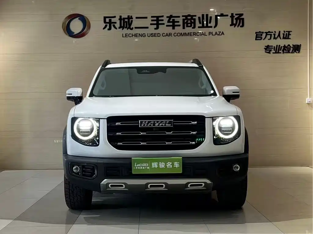 HAVAL BIG DOG