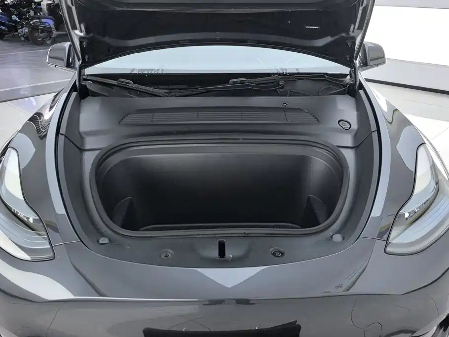Tesla Model Y — миниатюра 10