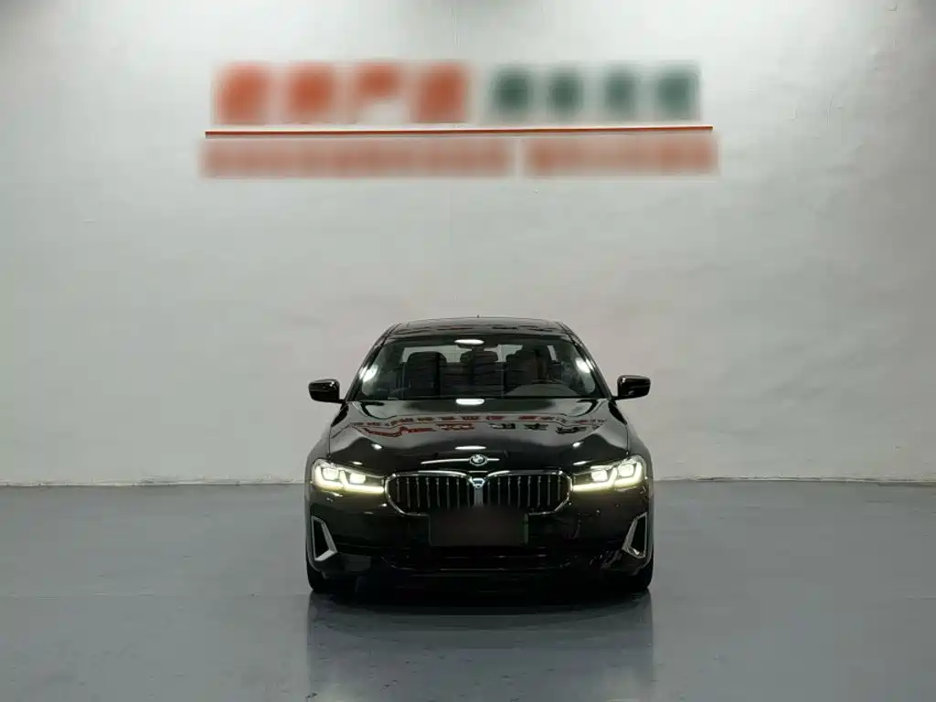 BMW 5 Series New Energy — миниатюра 8