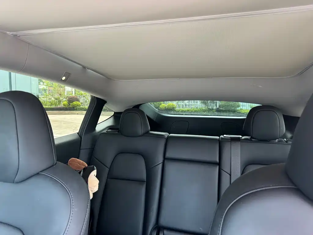 Tesla Model Y — миниатюра 8
