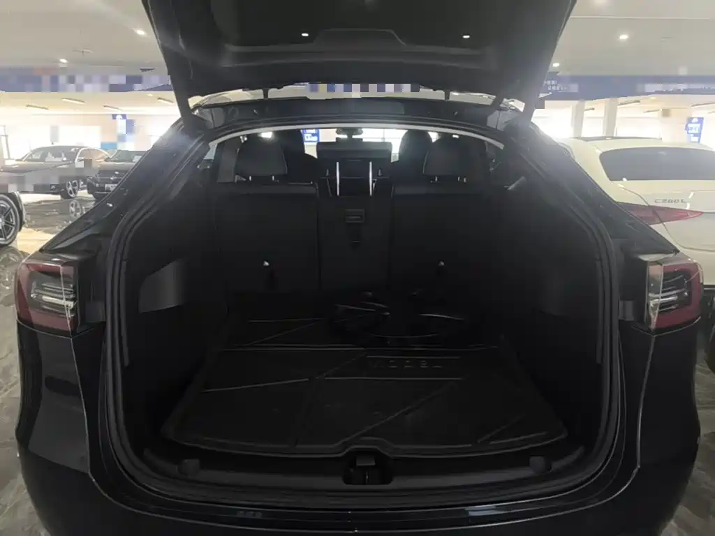 Tesla Model Y — миниатюра 15