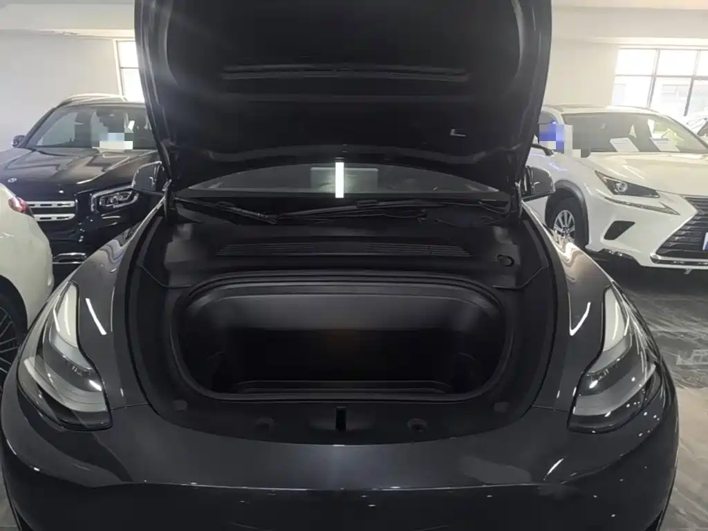 Tesla Model Y — миниатюра 16