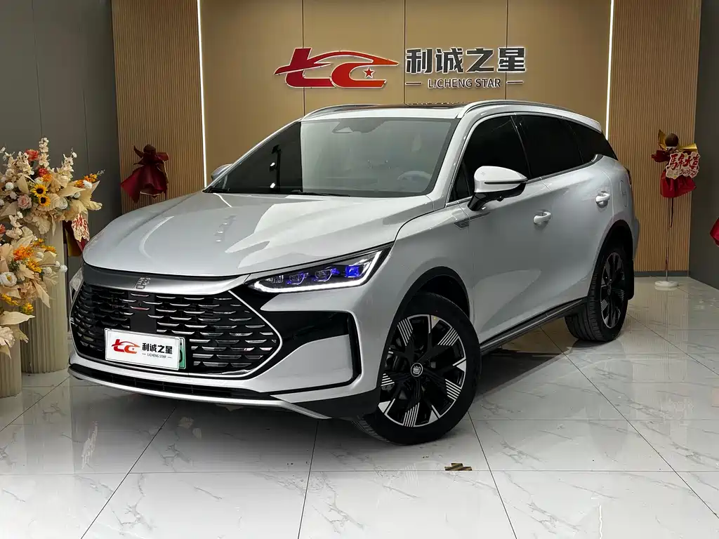 Byd Tang New Energy 2024