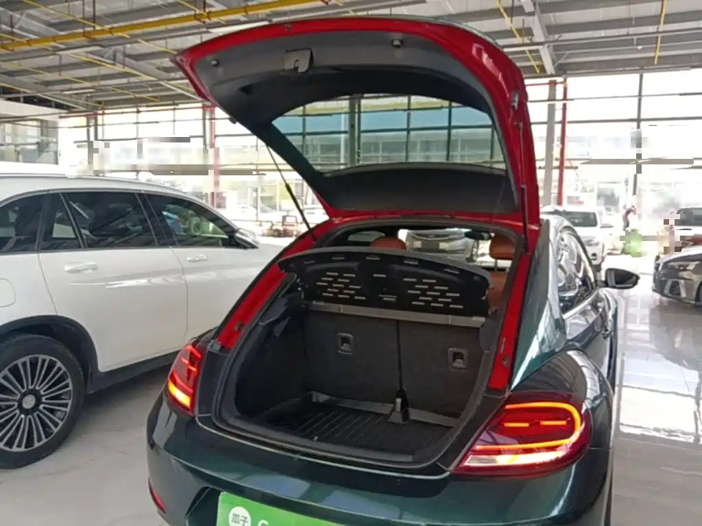 Volkswagen Beetle — миниатюра 19
