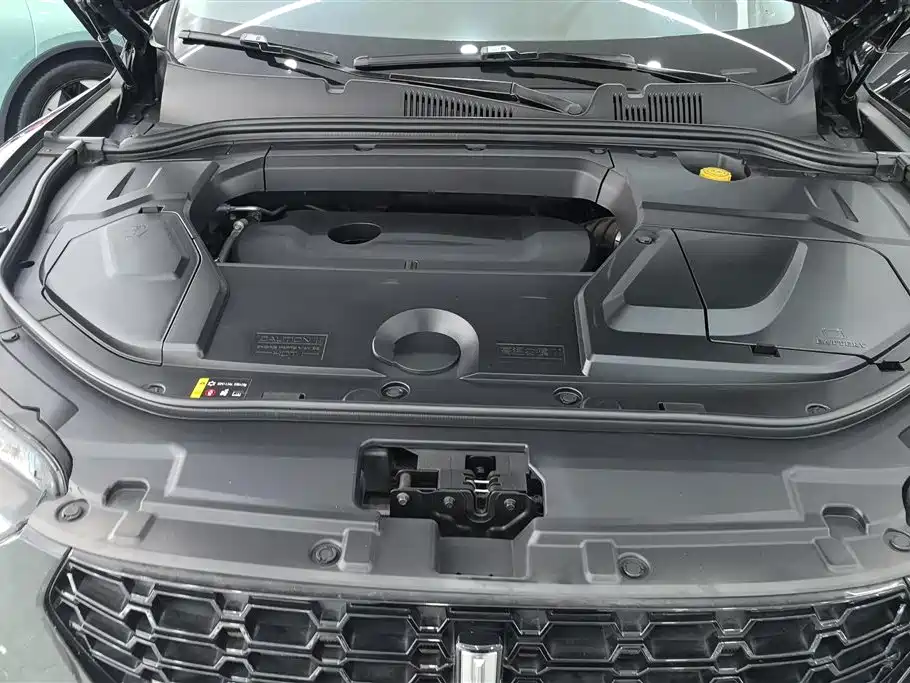 WEI PAI WEI BRAND VV5