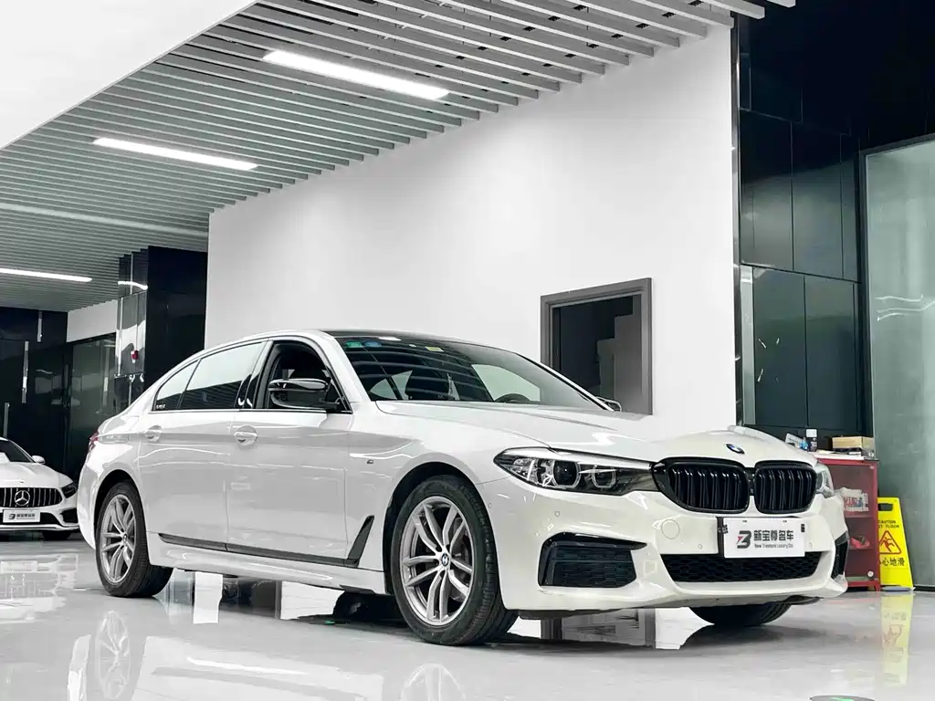 BMW 5 Series — миниатюра 3