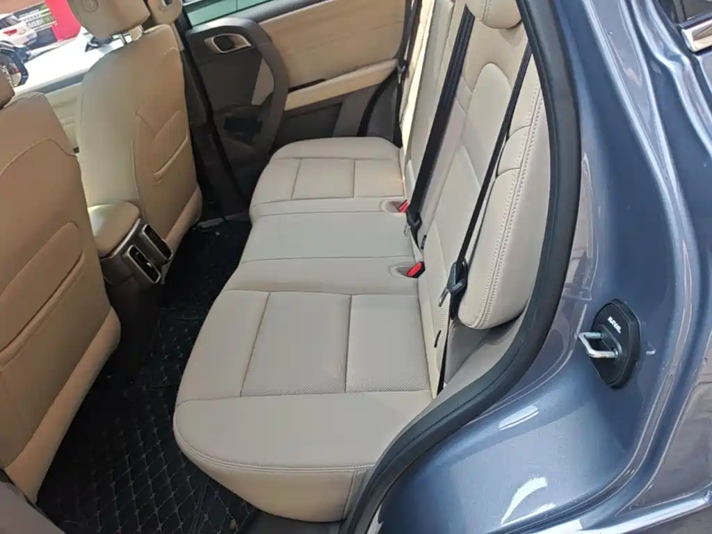 Haval Big Dog — миниатюра 17