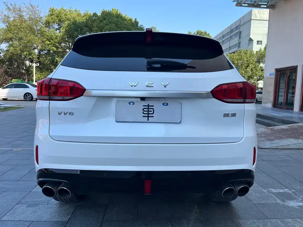 Wey Wey VV6 — миниатюра 6