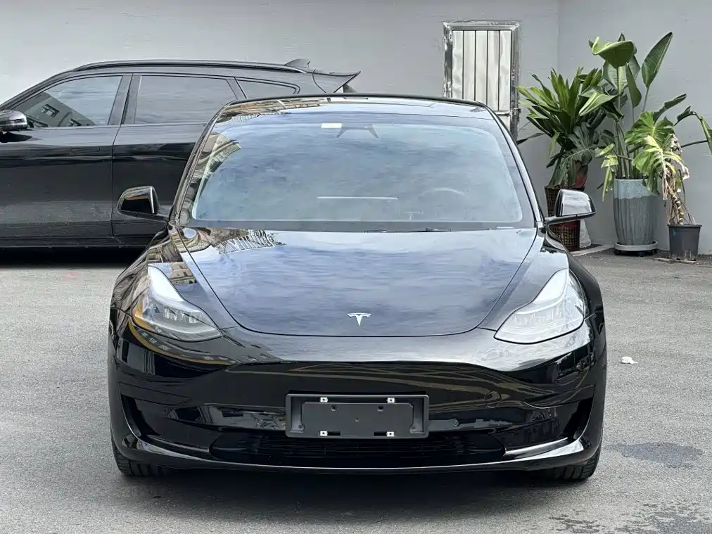 Tesla Model 3 — миниатюра 2