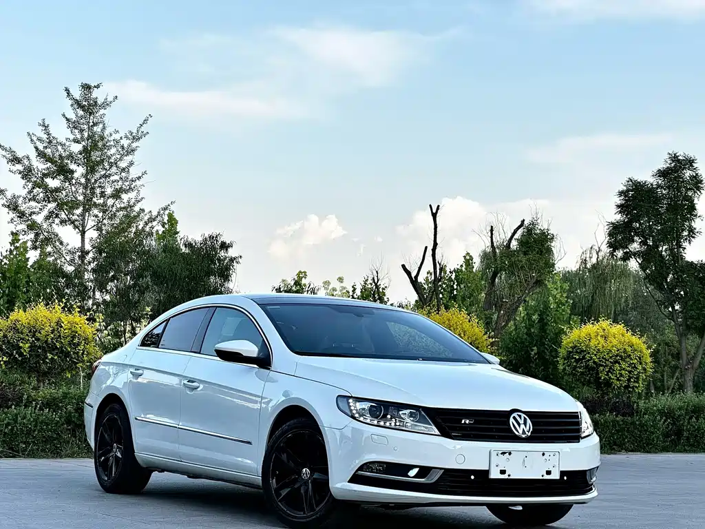 Volkswagen CC 1.8TSI Premium Type, фото 3