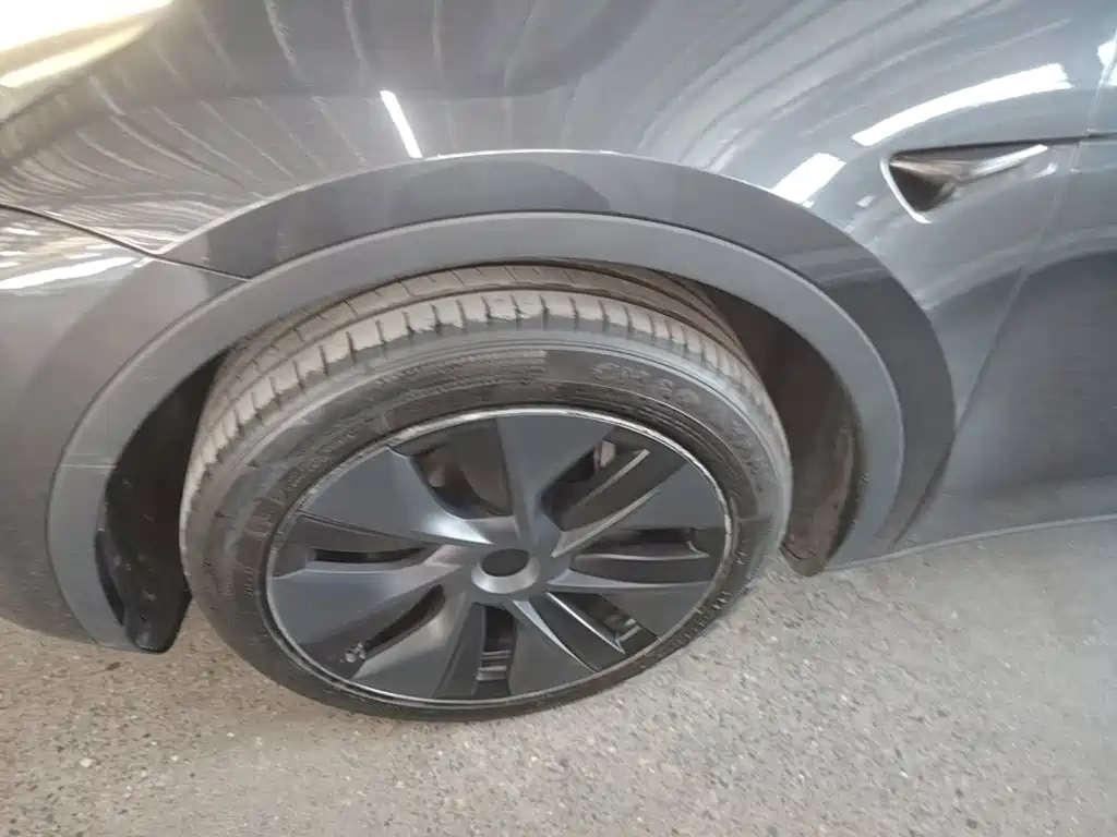 Tesla Model Y — миниатюра 23