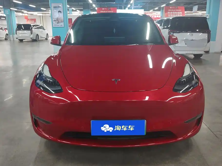 Tesla Model Y — миниатюра 2