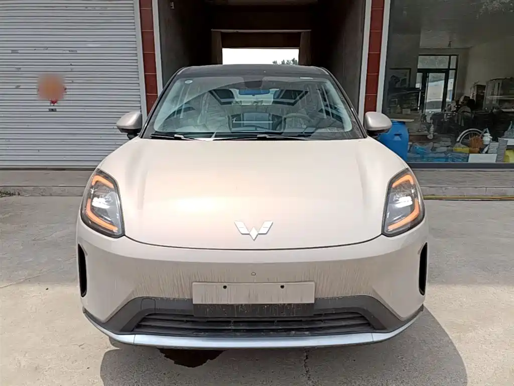 Wuling BinguoS S 2025 325km Premium