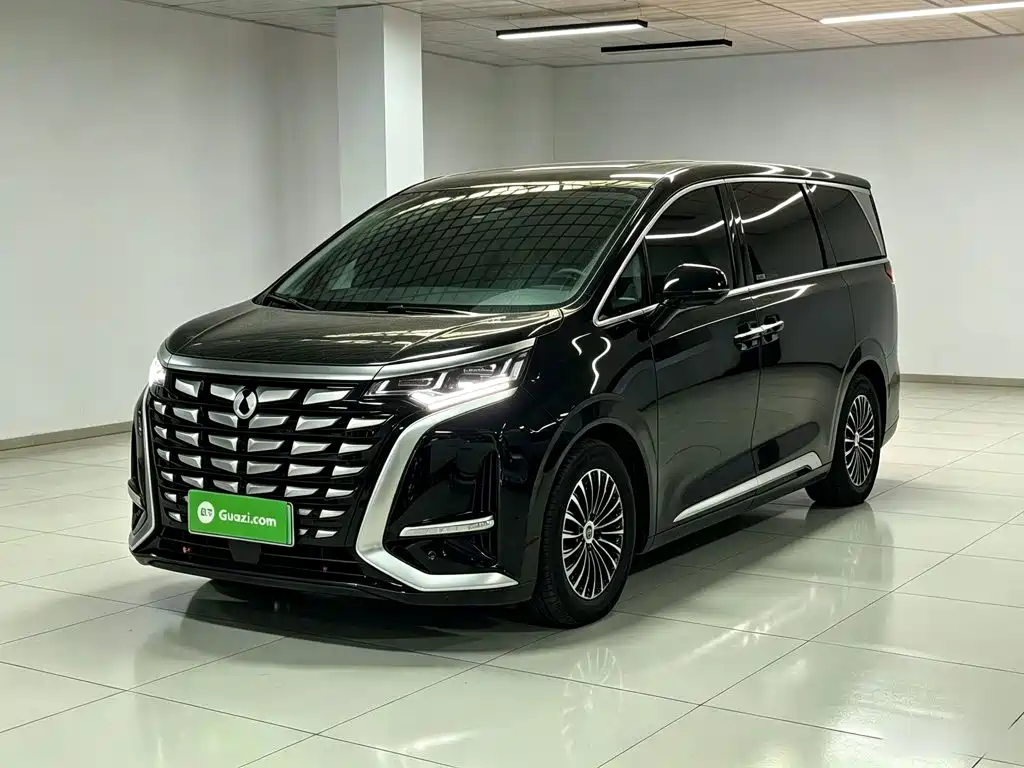 Denza Denza D9
