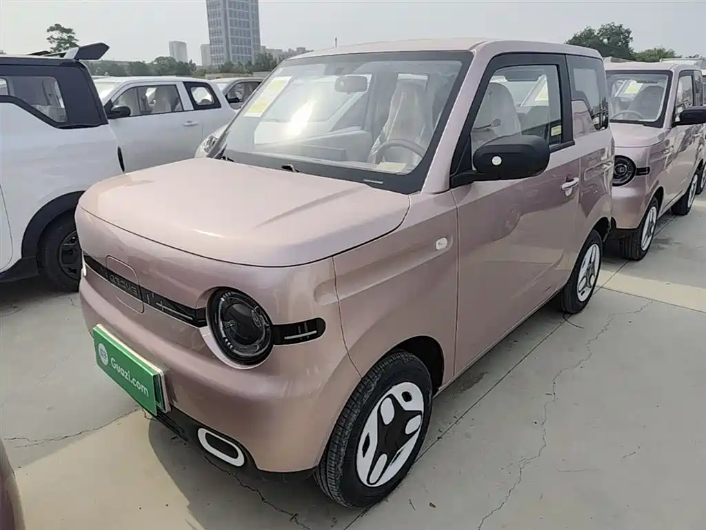 BYD Panda 2025 Panda mini 210km Energetic Bear